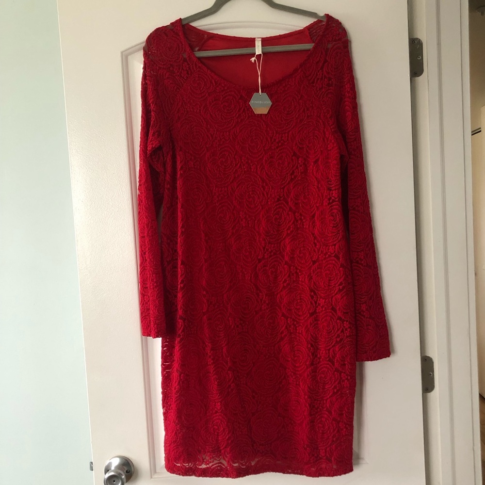 Pinkblush Maternity Dress